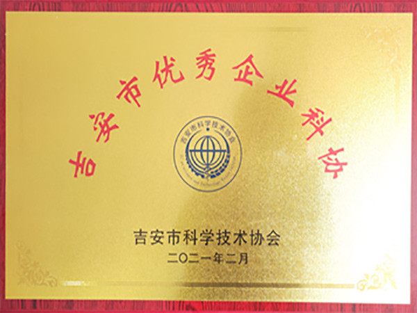 市优秀科协企业